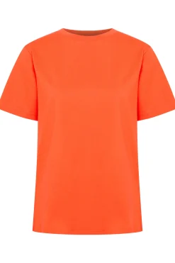 Ichi T-shirts>IHPALMER T-shirt Fiesta